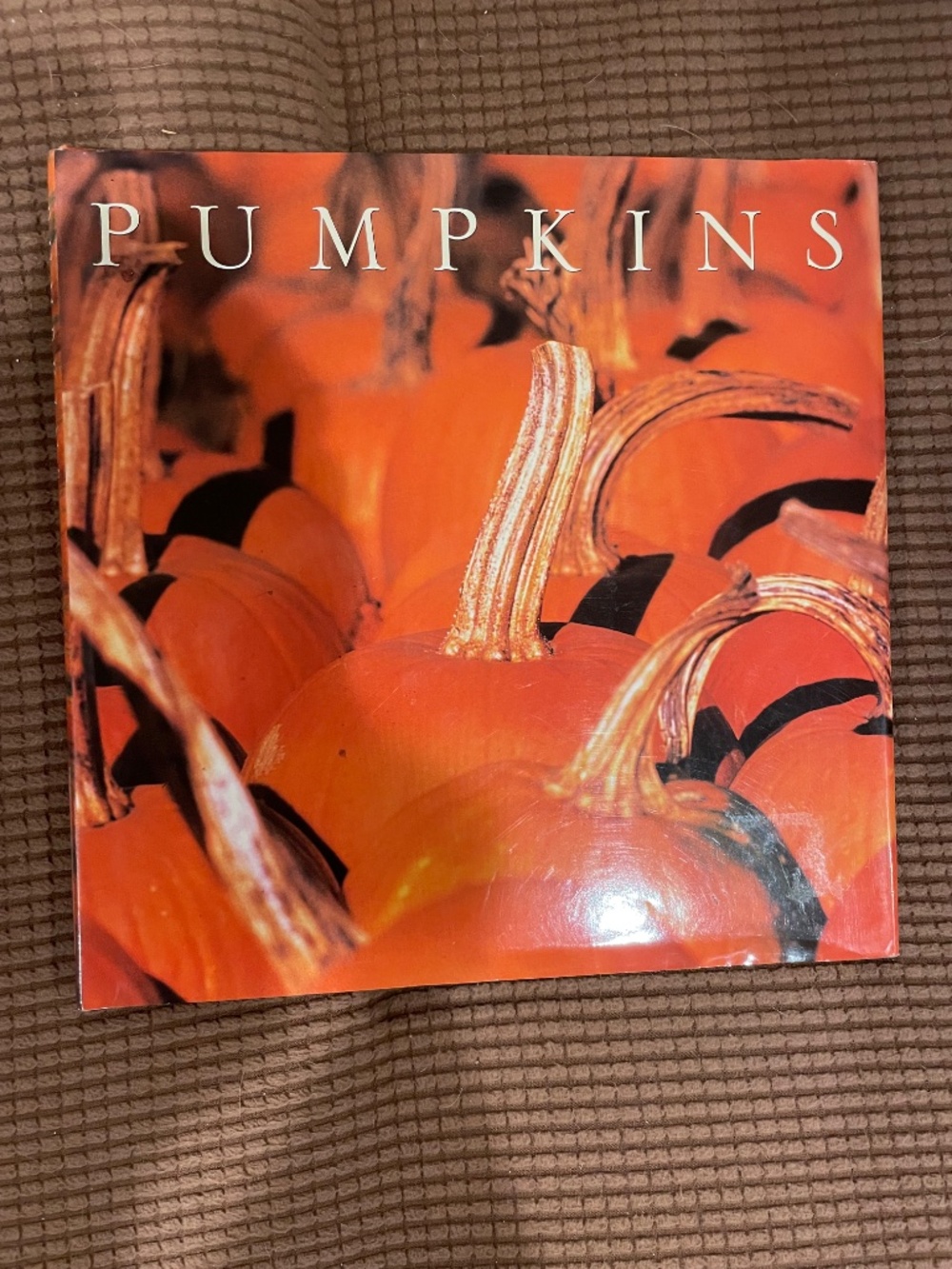 Punmpkins:  A Photographic Celebration - Hardbound - Picture 3 of 13